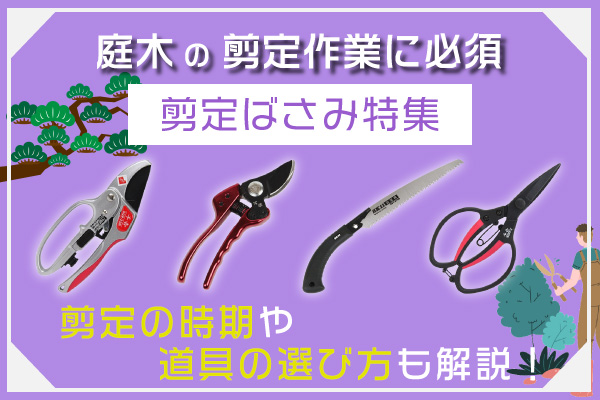 庭木の剪定におすすめ！作業別『剪定ばさみ』と剪定時期・道具の選び方をご紹介 | 建索ショップ